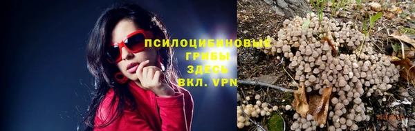MESCALINE Горняк